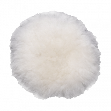 2825_TPS_WOOL_PREVOST-800px.png